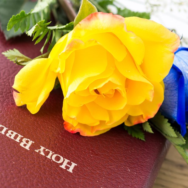 Bible Readings For Funerals 11 Popular Verses Dignity Funerals