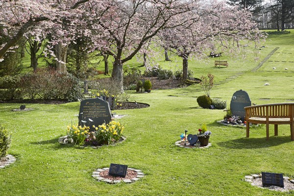 Memorial costs Dignity