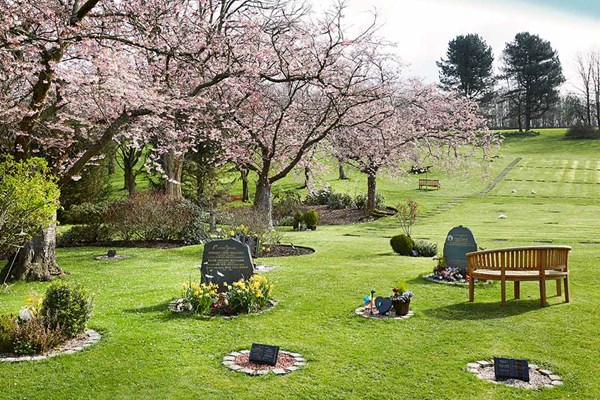 Garden memorial plaques Dignity Funerals