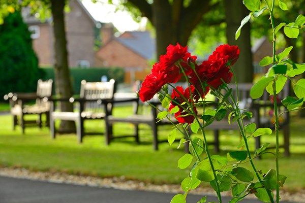 Garden memorial benches Dignity Funerals