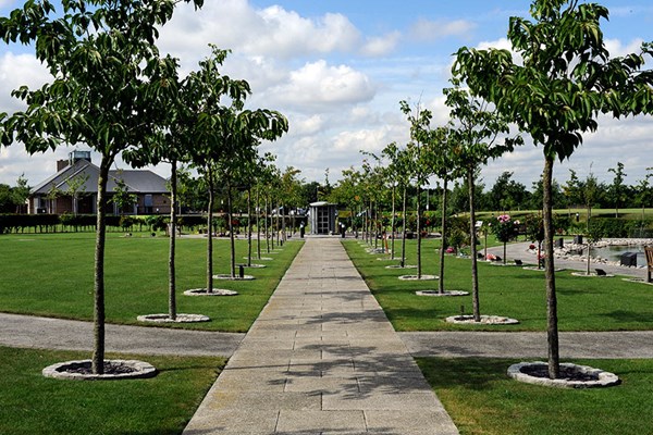 Memorial trees Dignity