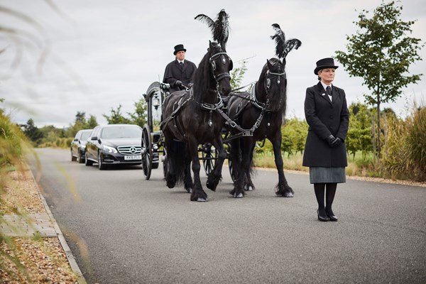Horse drawn hearse | Dignity