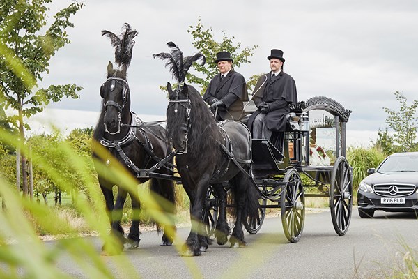 A horse-drawn hearse | Dignity Funerals
