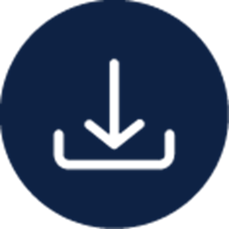 Download Icon